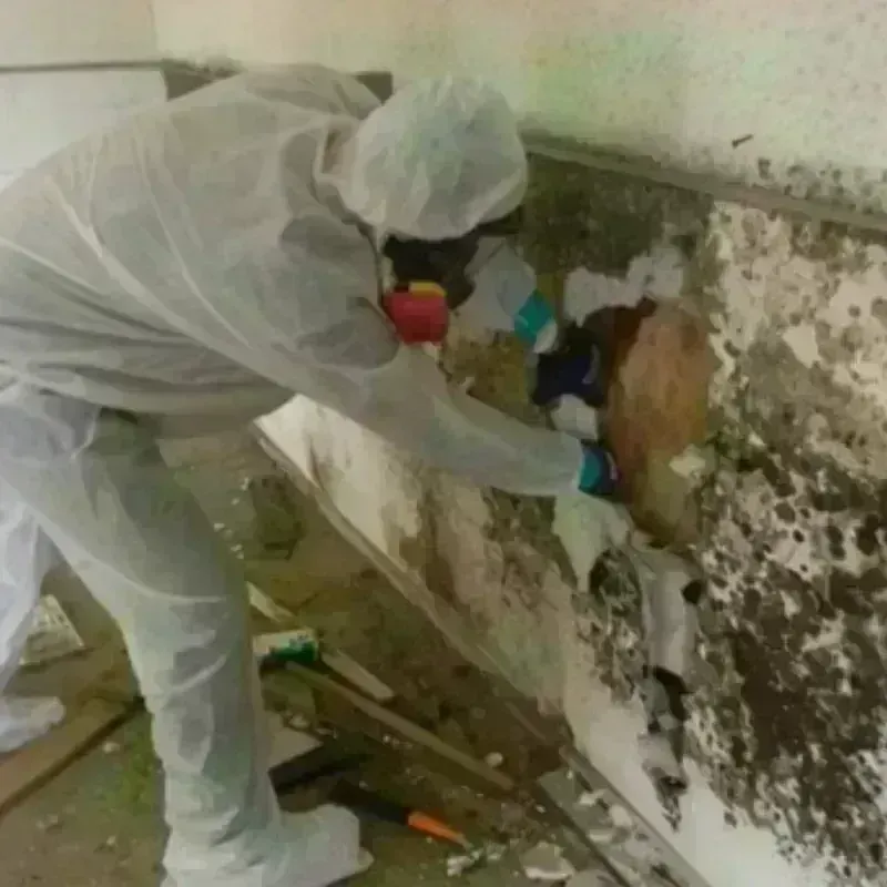 Mold Remediation and Removal in Crittenden County, KY